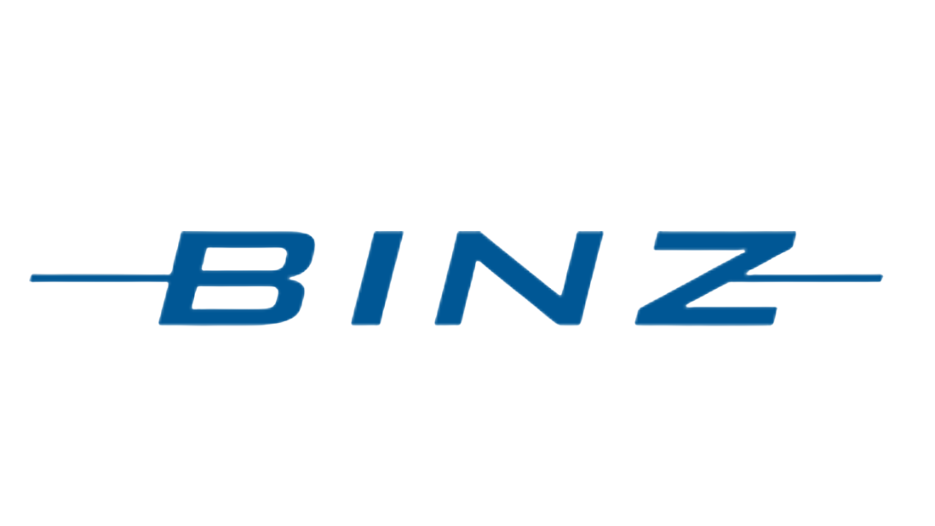 binz logo