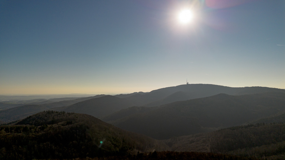 Weitblick über ein hügeliges Mittelgebirge mit ausgedehnten Waldflächen. Im Vordergrund stehen teils lichte, teils dicht bewaldete Bereiche, im Hintergrund staffeln sich bewaldete Hügel unter sonnigem Himmel.