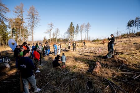 Gruppe von Menschen steht auf einer gerodeten Waldfläche und hört einer Person zu, die eine Einweisung gibt. Im Hintergrund sind Baumstümpfe, junge Bäume und ein klarer Himmel zu sehen, die Szene deutet auf eine gemeinsame Aufforstungsaktion hin.